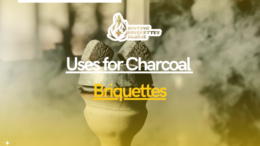 Uses for Charcoal Briquettes