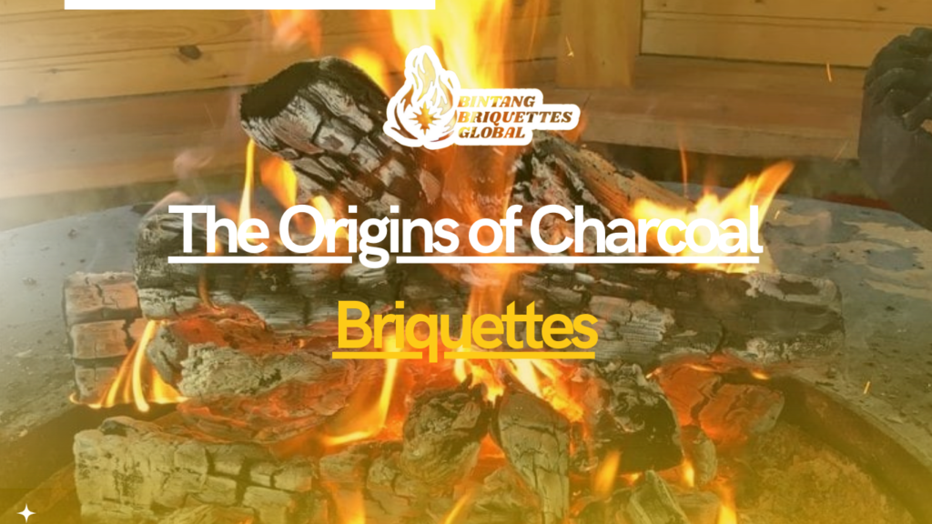 The Origins of Charcoal Briquettes