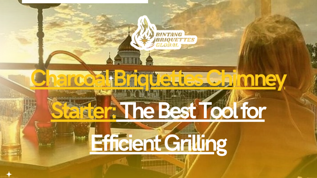 Charcoal Briquettes Chimney Starter The Best Tool for Efficient Grilling