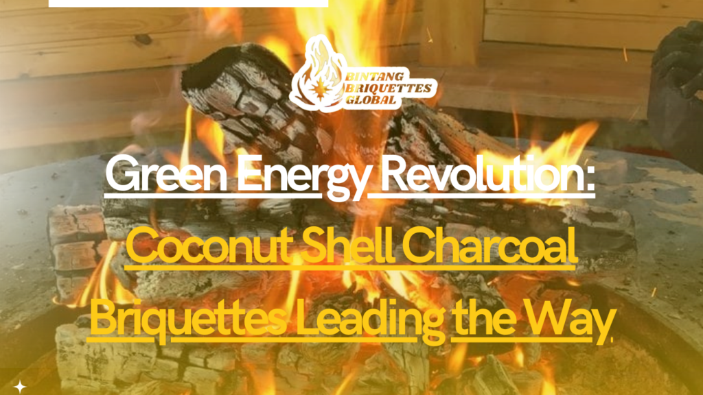 Green Energy Revolution Coconut Shell Charcoal Briquettes Leading the Way