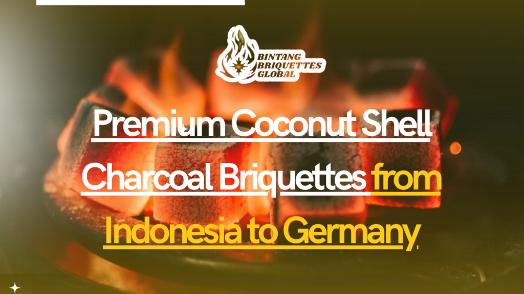 Premium Coconut Shell Charcoal Briquettes from Indonesia to Germany