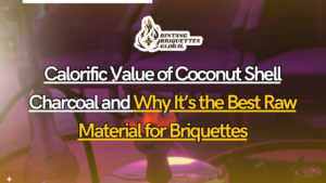 High-quality coconut shell charcoal briquettes with high calorific value stacked in a warehouse.