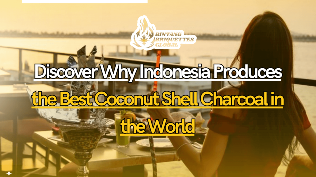 Indonesia produces the best coconut shell charcoal with top-tier factory standards