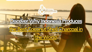 Indonesia produces the best coconut shell charcoal with top-tier factory standards