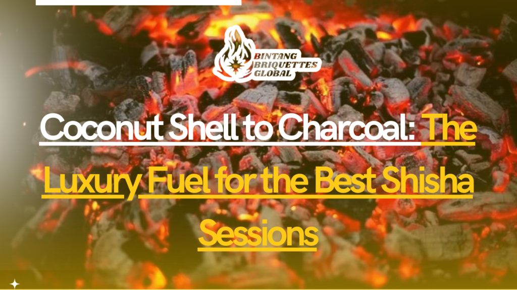 Coconut shell being transformed into charcoal for luxury shisha, highlighting the eco-friendly and premium quality of the fuel.