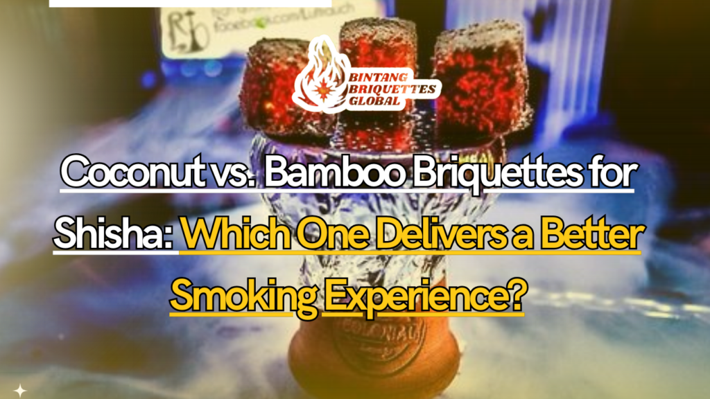 Coconut vs. Bamboo Briquettes for Shisha side by side comparison
