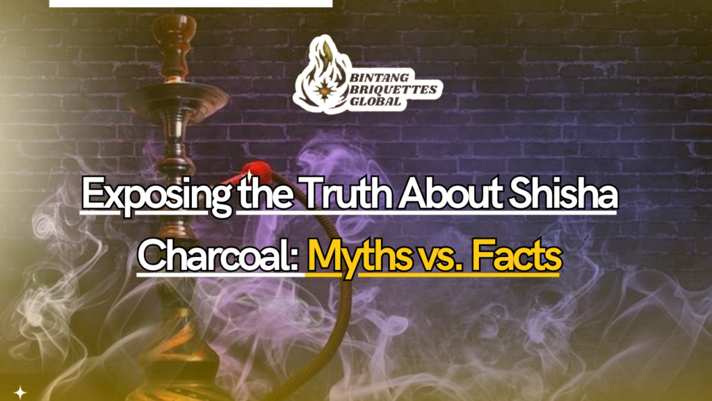 Shisha charcoal myths debunked with facts and illustrations