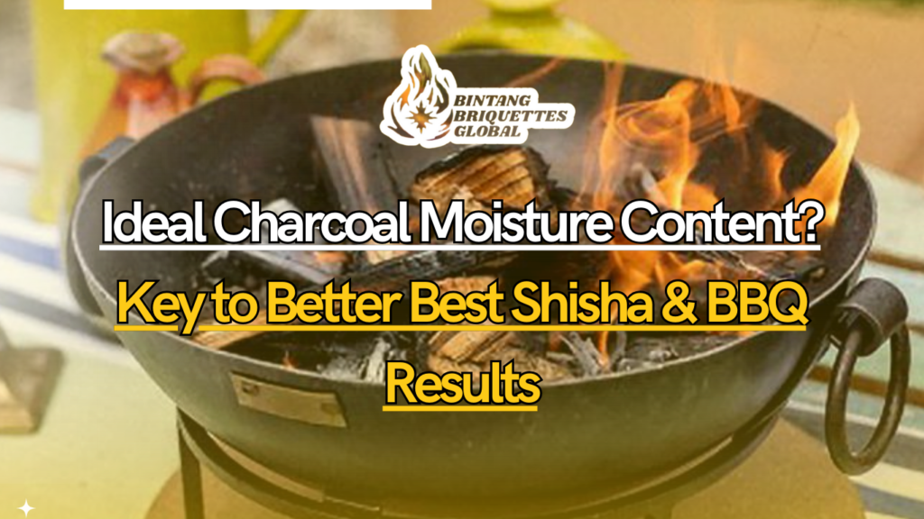 Coconut charcoal briquettes being tested for moisture content using a digital moisture meter