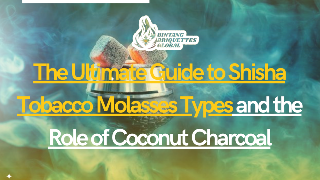 Different types of Shisha tobacco molasses paired with coconut charcoal for an enhanced smoking experience.
