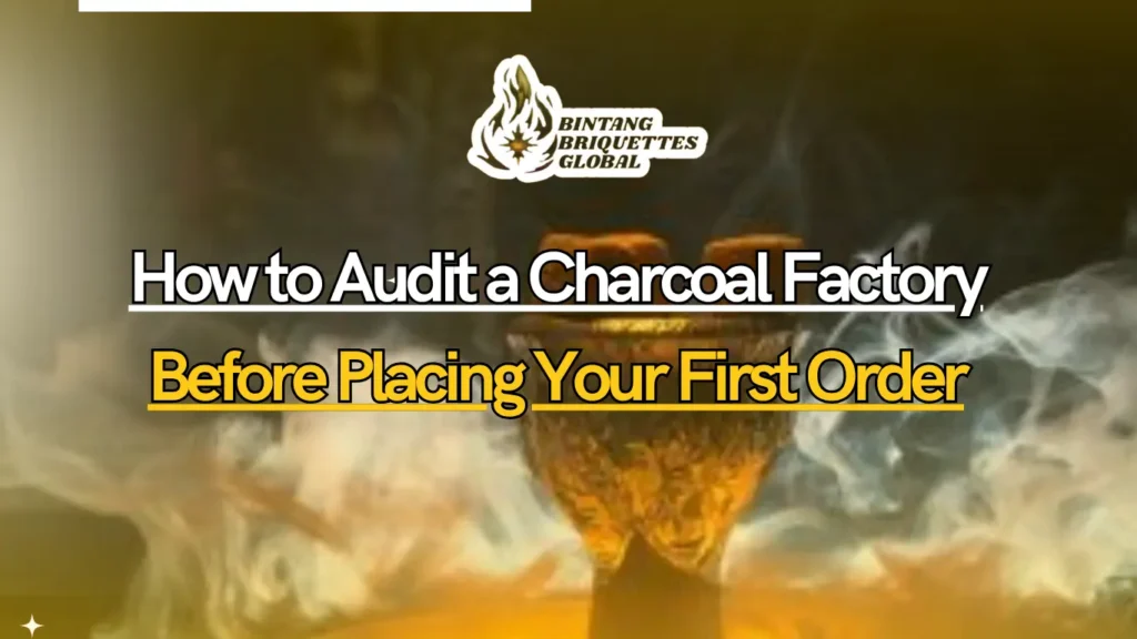 Auditor inspecting charcoal production facility in Indonesia