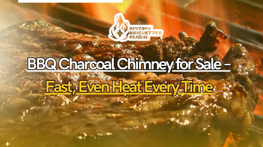 BBQ Charcoal Chimney for Sale with Heat-Resistant Handle and Durable Steel Body