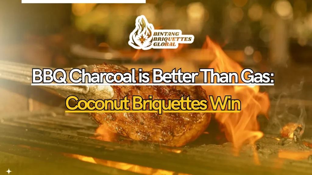 BBQ grill using coconut shell charcoal next to a modern gas grill