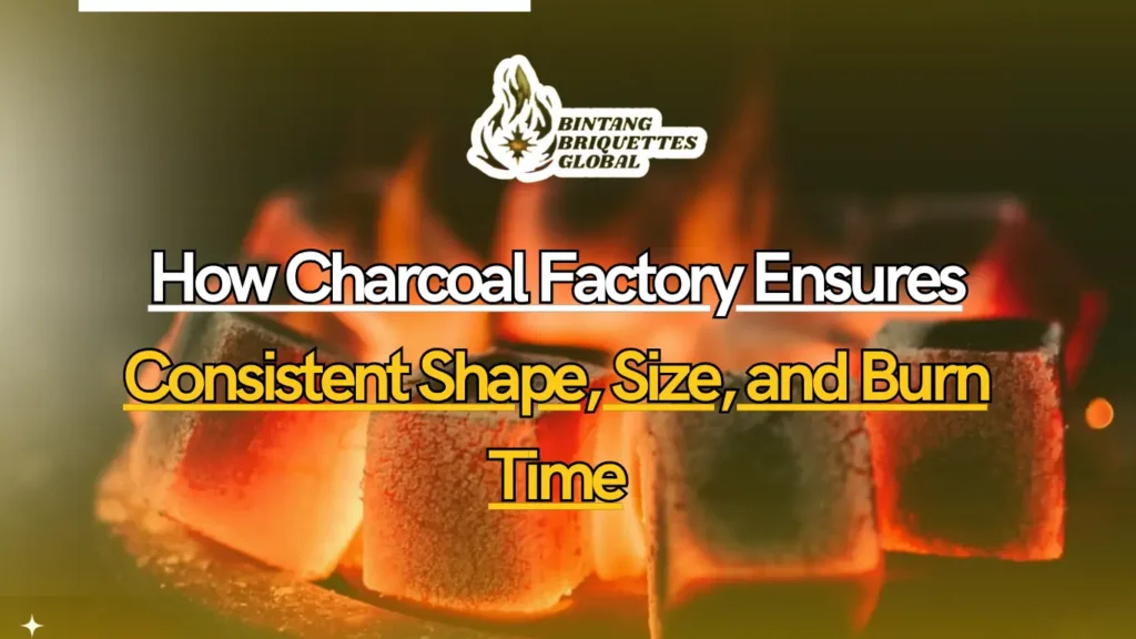 Charcoal Factory Quality Control testing burn time and ash content