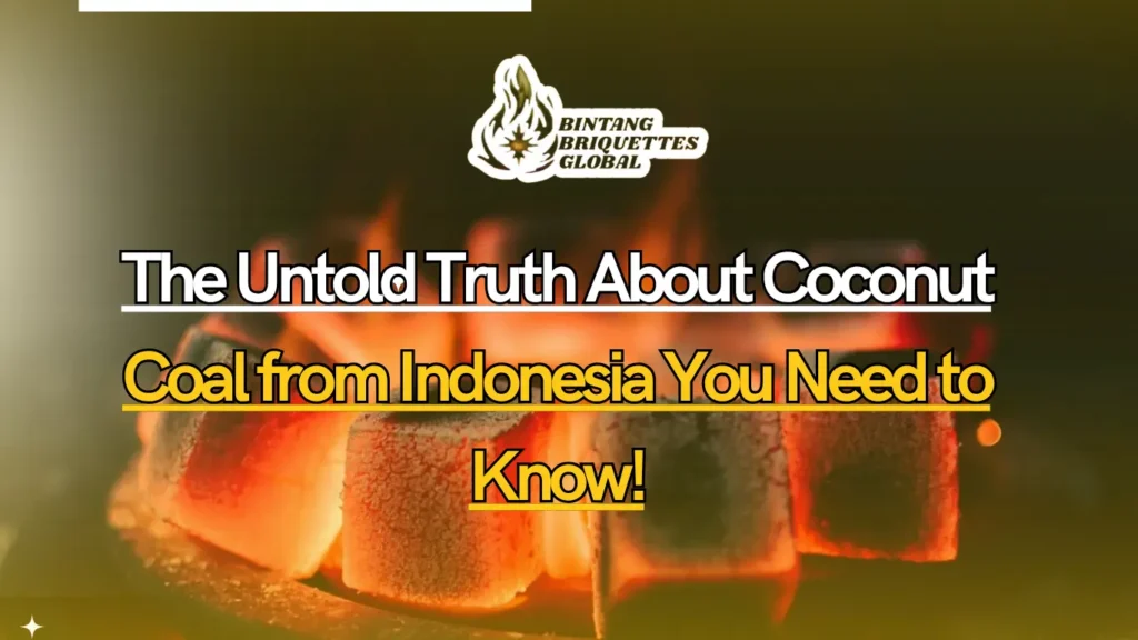 Coconut coal briquettes from Indonesia used for BBQ grilling and sustainable energy production.