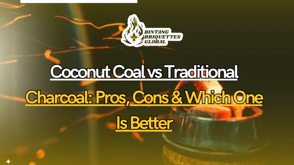 Comparison of coconut coal and traditional charcoal briquettes side by side showing their differences in color, shape, and texture