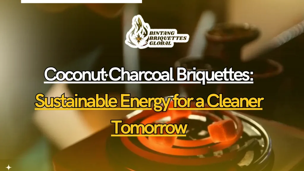 High-quality sustainable coconut charcoal briquettes burning cleanly for shisha and BBQ use