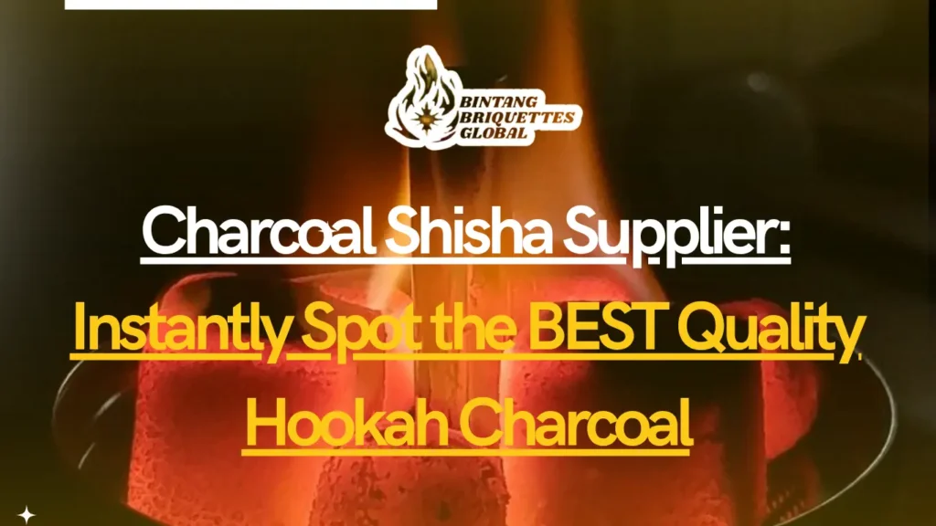Close-up of premium coconut charcoal briquettes from a trusted charcoal shisha supplier, showing clean edges, consistent shape, and smooth surface for high-quality hookah sessions.