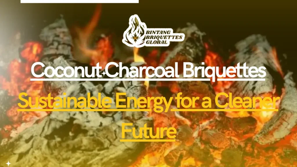 Coconut Charcoal Briquettes Sustainable Energy revolution with eco-friendly production