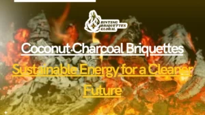 Coconut Charcoal Briquettes Sustainable Energy revolution with eco-friendly production
