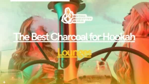 The best charcoal for hookah lounges made from natural coconut shell, providing long-lasting heat and clean flavor for premium shisha sessions.