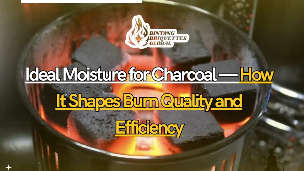 A technician testing the ideal moisture for charcoal to ensure premium coconut briquettes deliver perfect burn quality and heat performance.