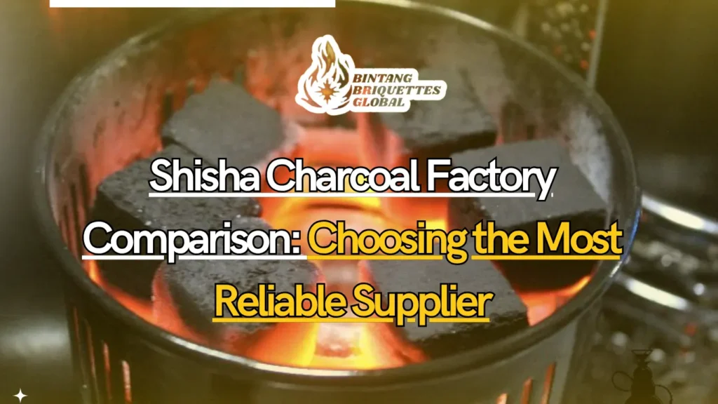Shisha Charcoal Factory Comparison: How to Choose the Most Reliable Supplier