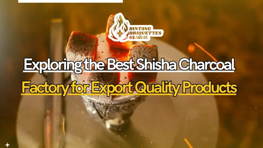 A worker inspecting drying shisha charcoal briquettes in a factory, showcasing the process of ensuring high-quality charcoal production for export.