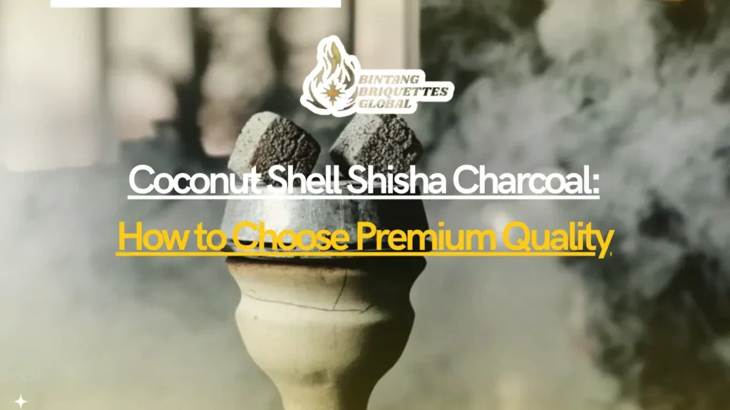 Premium Coconut Shell Shisha Charcoal by Bintang Briquettes for high-quality hookah sessions