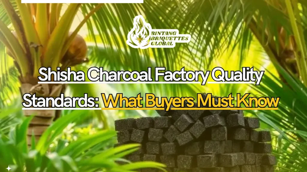 High-quality shisha charcoal production at a professional factory, showing coconut shells, carbonization kilns, and quality control checks