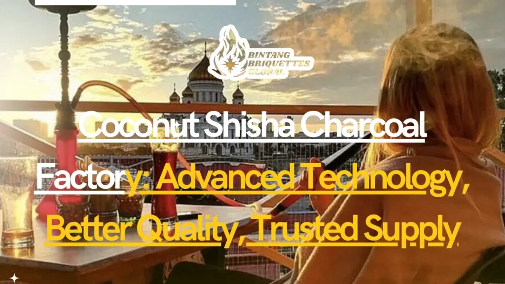 Shisha charcoal factory quality standards illustration showing premium coconut charcoal, production process, and quality control elements.