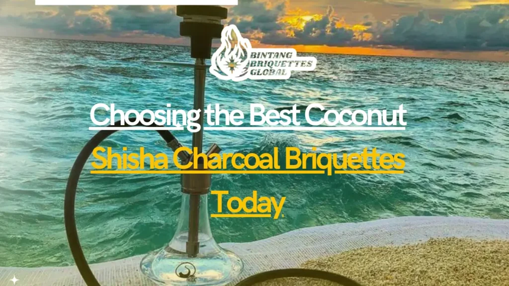 Premium coconut shisha charcoal briquettes by Bintang Briquettes for smooth, long-lasting hookah sessions
