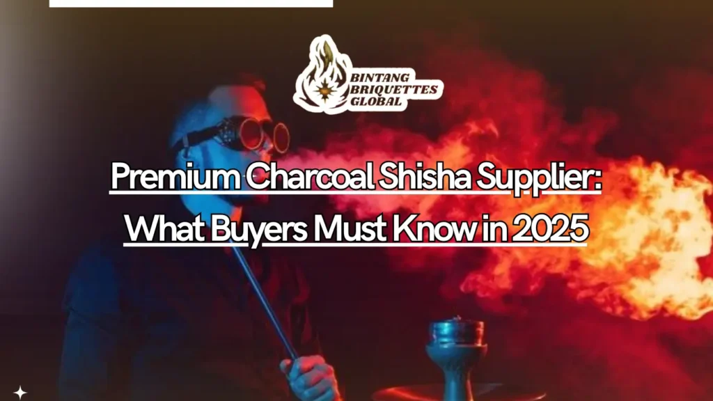 Premium charcoal shisha suppliers in 2025 featuring high-quality coconut briquettes showcased in a modern premium setting