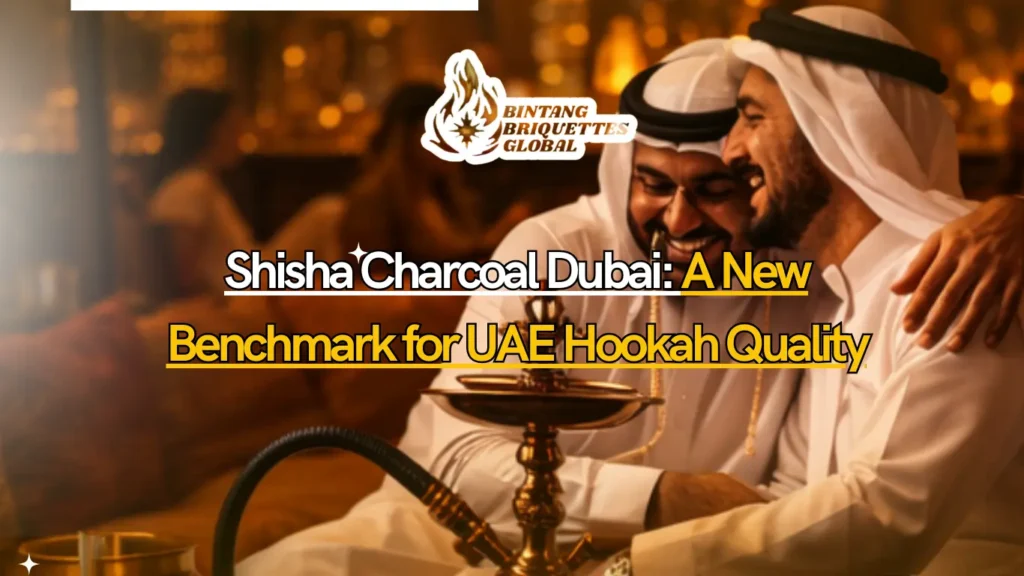 Premium shisha charcoal Dubai used in luxury UAE hookah lounges